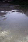 pozza d' acqua sul terriccio