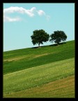 paesaggio marchigiano paesaggio marchigiano