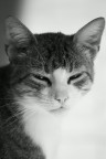 Peppe B&W Peppe B&W