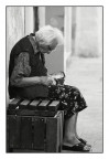 ...come sempre.... ...come sempre....