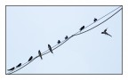 ..sul filo... ..sul filo...