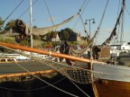A vela su Oslo A vela su Oslo