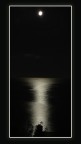 Moon's green sea Moon's green sea