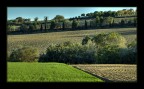 paesaggio marchigiano (2) paesaggio marchigiano (2)
