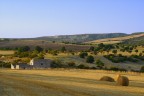 campi di grano campi di grano
