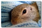 la mia cucciolina.. la mia cucciolina..
