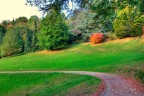 Parco della Burcina Parco della Burcina