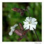 Ecco l'ultima della serie...

[b]Commenti e critiche, pronti? VIA![/b]