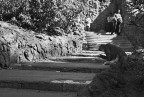 Charity in Rome (rivista) Charity in Rome (rivista)