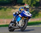 un omaggio ad un grande campione "ABE" un omaggio ad un grande campione "ABE"