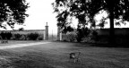 Solitudine Solitudine