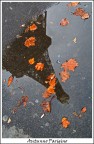 Autunno Parigino Autunno Parigino