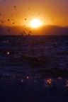 Misterioso Mare Misterioso Mare