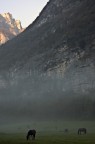 Un nuovo giorno Un nuovo giorno