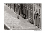 Raccolta differenziata Raccolta differenziata