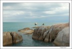 Stone Stone
