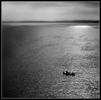 Navigando insieme...