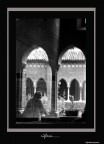 riflessi riflessi