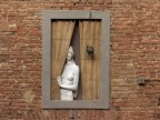 La finestra sul cortile La finestra sul cortile