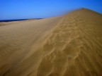 DESERTO DESERTO