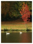 Autunno Autunno