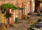 Colori della Livorno minore Colori della Livorno minore