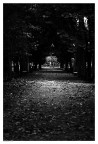 Autumn Autumn