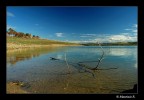 ramo sul lago Poma ramo sul lago Poma