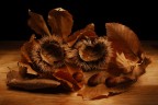 Autunno (Light Painting) Autunno (Light Painting)