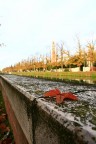 impronte d'autunno impronte d'autunno