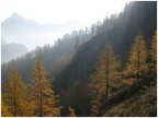 Il dolce abbraccio dell'autunno... Il dolce abbraccio dell'autunno...