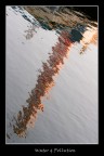 water & Pollution water & Pollution