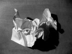Esperimenti - Carta#3 Esperimenti - Carta#3
