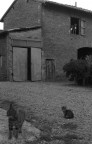 Senza titolo Senza titolo
