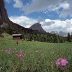 Primavera sulle dolomiti Primavera sulle dolomiti