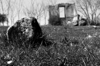 Rovine... Rovine...
