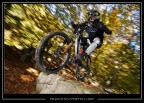 Freeride Freeride