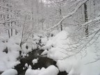 Nevicata Nevicata