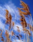 Verso il cielo