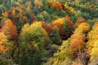 I caldi colori dell'autunno I caldi colori dell'autunno