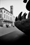 dinosauri a pietrasanta