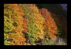 Autunno friulano Autunno friulano
