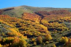 I caldi colori dell'autunno 3 I caldi colori dell'autunno 3