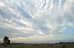 sky sky
