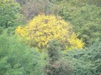 autunno 2 autunno 2