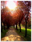 Un Pomeriggio al Parco