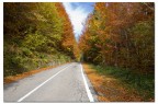 Autunno Autunno