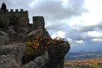 Nido d'aquila Nido d'aquila