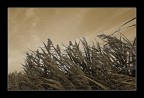 Le"spolvrine" Le"spolvrine"