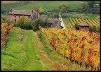 Vecchia Romagna.... Vecchia Romagna....